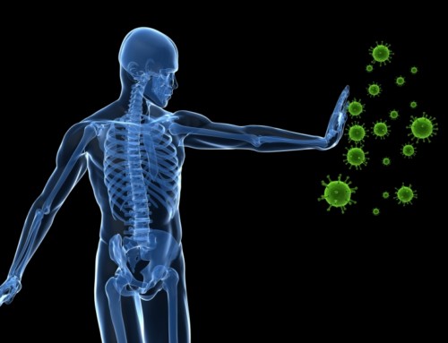 Cannabis & the Immune System
